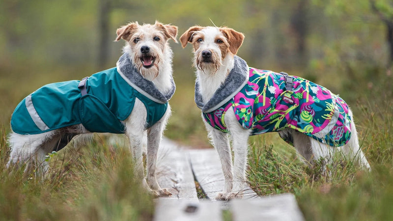 Pomppa jackets