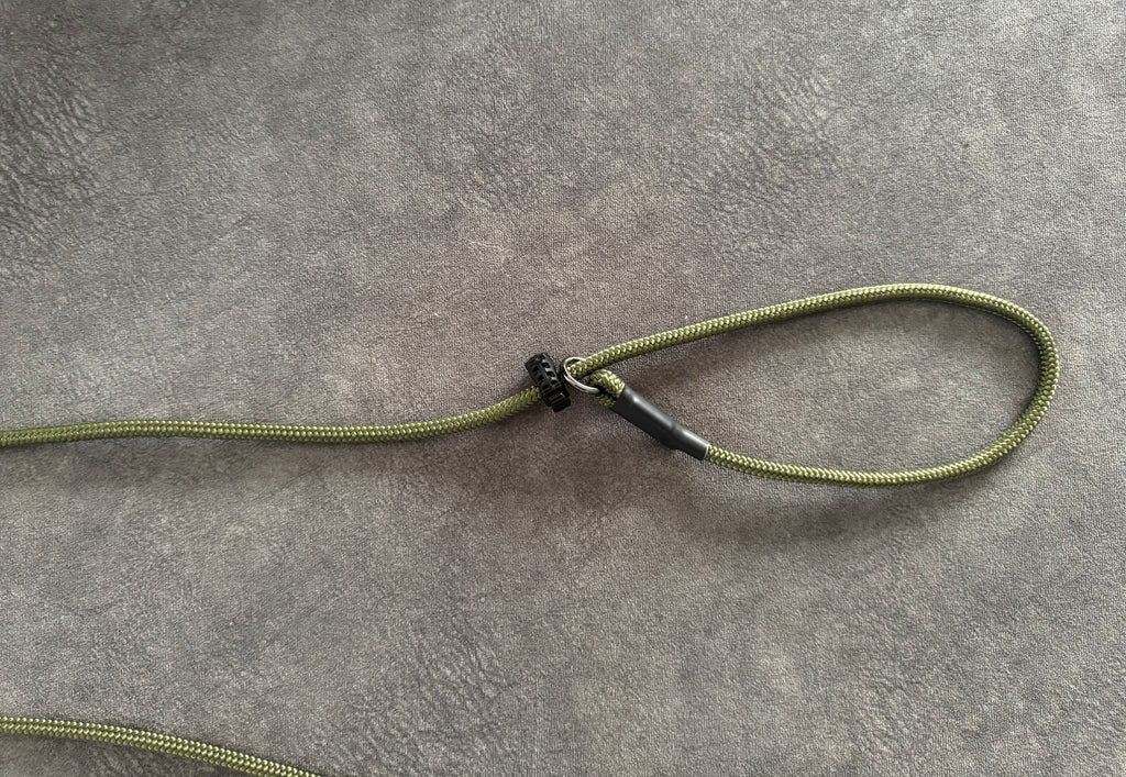 Slip leash οδηγός 6mm (πράσινο)