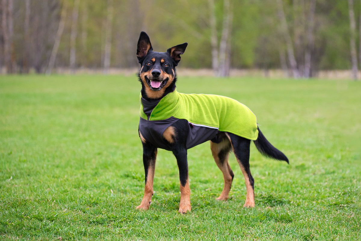 Fleece μπουφάν Jumppa λαχανί