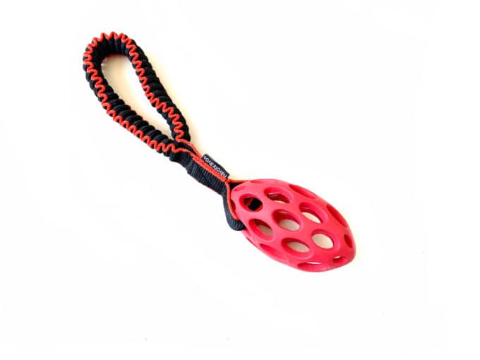 Tuggy short & Hol-EE-Football small