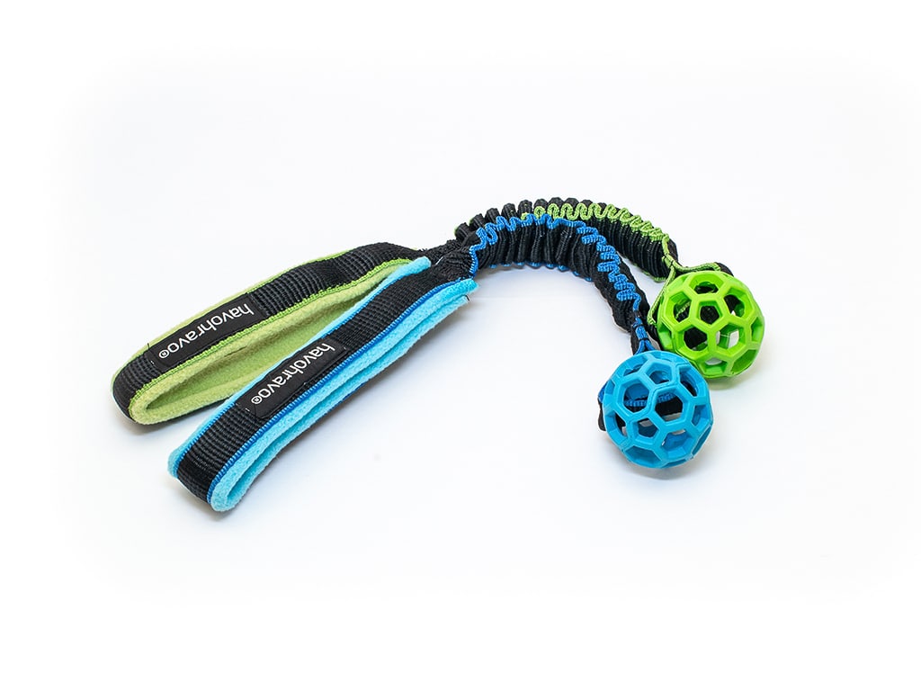 Tuggy & Hol-EE-Roller XSmall